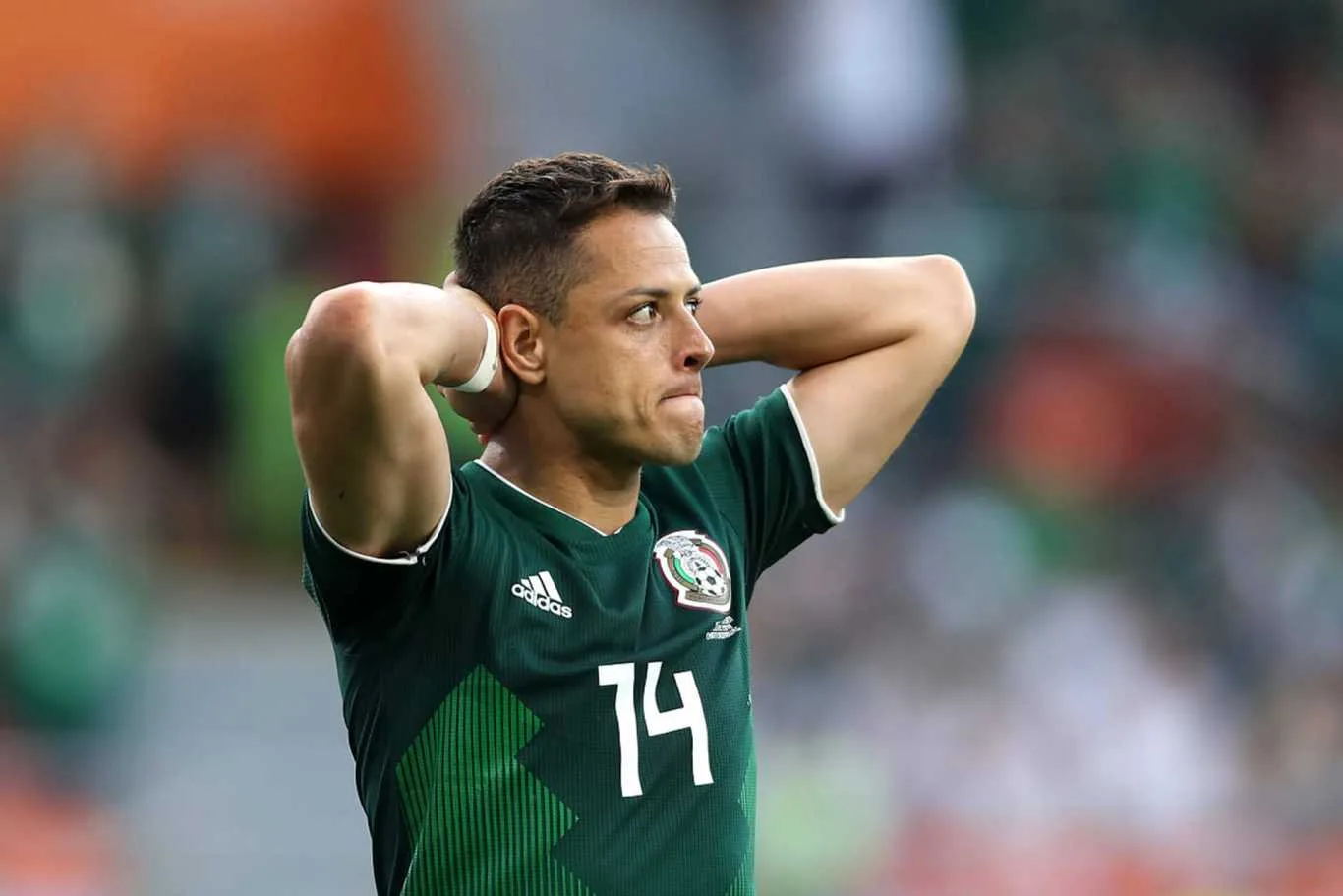 1xBet Mexico es la mejor casa de apuestas 🌟 ¿Cómo apostar en 1xBet?